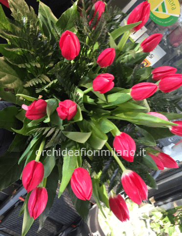 Bouquet di tulipani