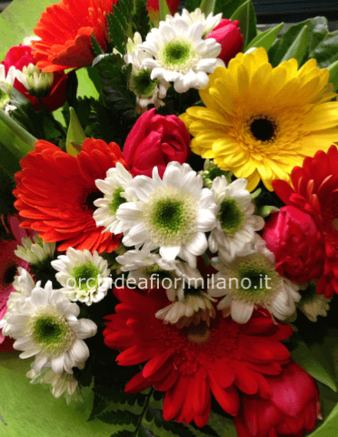 Bouquet