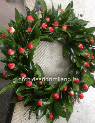 cordoncino di alloro con bacche di ipericum