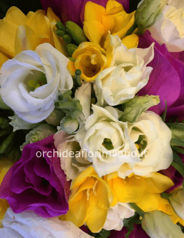 Bouquet maxi misto