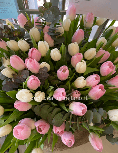 Bouquet di 90 tulipani ( colori in base alla disponibilità )